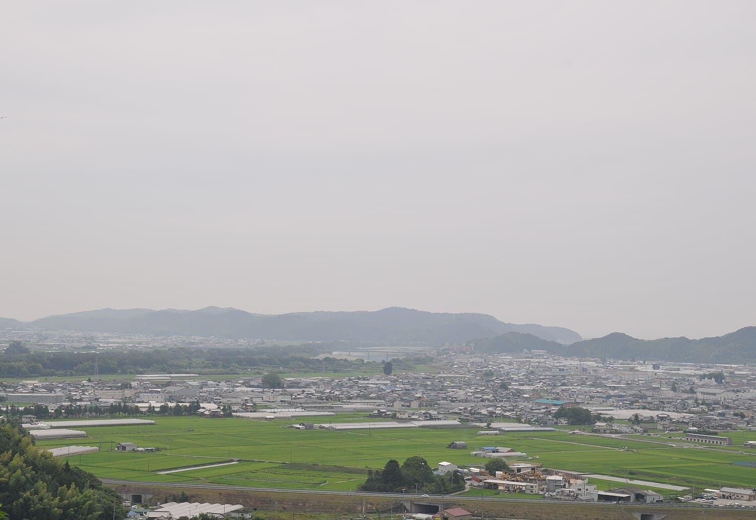 Tosa