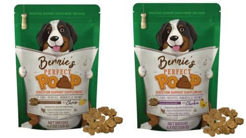 4-in-1 Dog Digestive Health Supplement, 4.2oz Bundle