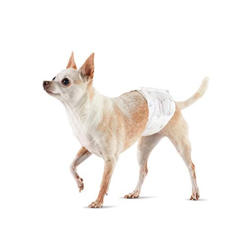 Absorbent Leakproof Male Dog Diapers, X-Small, Pack of 30