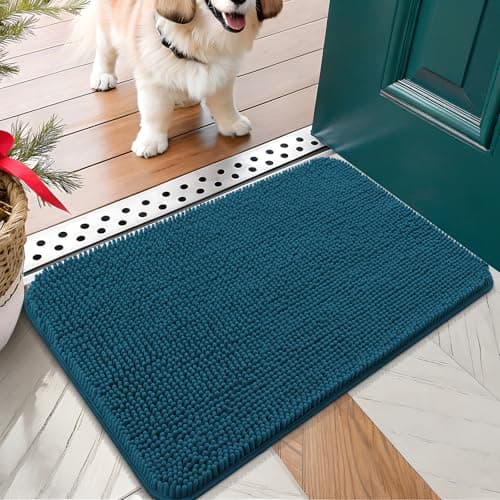 Absorbent Non-Slip Dog Mat for Indoor Use, 24x16