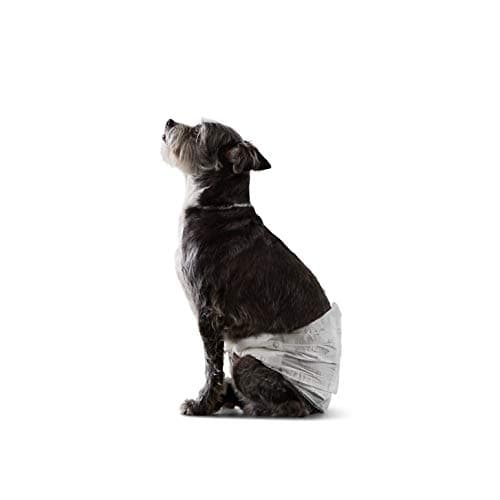 Amazon Basics Disposable Male Dog Diapers, Small Size, 30-Pack, White