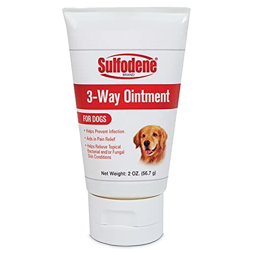 Antiseptic Dog Wound Care Ointment, 2oz - Pain Relief and Infection Prevention