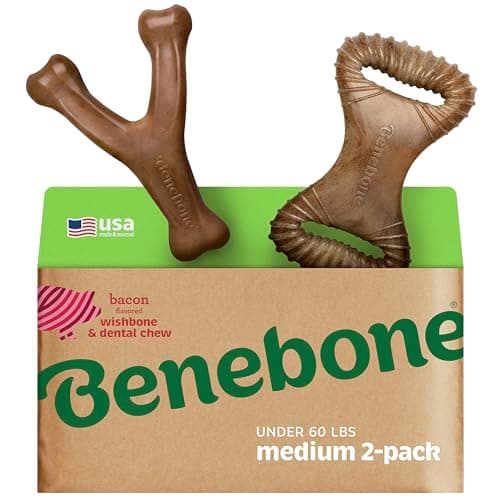 Benebone 2-Pack Durable Dog Chew Toys - Real Bacon, Made in USA for Aggressive Chewers, Medium