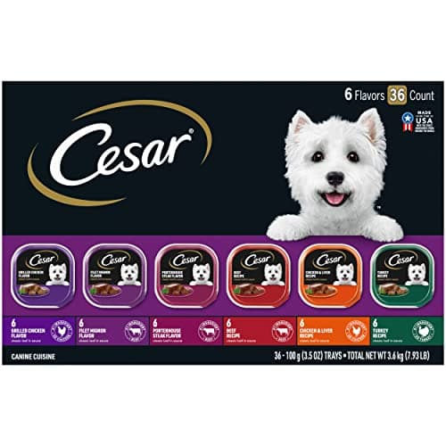 CESAR Adult Wet Dog Food Variety Pack, Classic Loaf in Sauce, 36 Pack