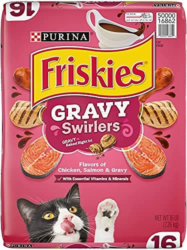Chicken & Salmon Dry Cat Food with Gravy - 16 lb