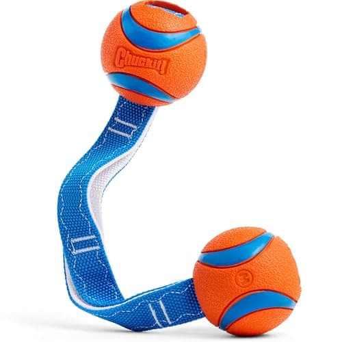 Chuckit! Ultra Duo Tug Dog Toy - Fetch & Tug-of-War for Medium Breeds