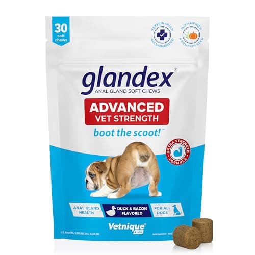 Dog Digestive Soft Chews with Pumpkin, Enzymes & Probiotics