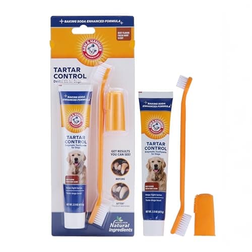 Dog Tartar Control Dental Kit with Beef Flavor