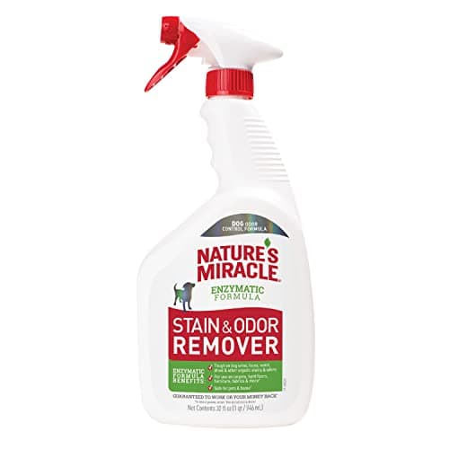 Enzymatic Pet Stain & Odor Remover Spray, 32 fl oz