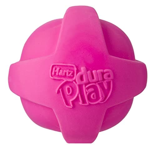 Hartz DuraPlay Bacon Scented Dog Toy - Small, Assorted Colors