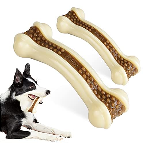 Indestructible Dog Chew Toys for Aggressive Chewers - 2 Pack Beef Flavor Nylon Bones