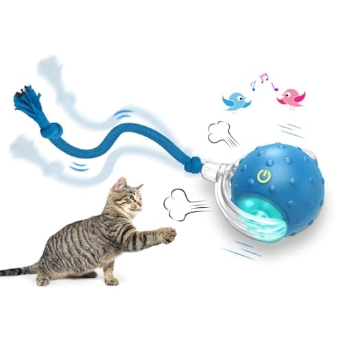 Interactive Indoor Cat Toy Ball with Motion Activation