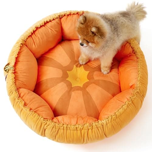 Lesure Dual-Use Small Dog and Cat Bed with Reversible Design, 25x25x8 Inches