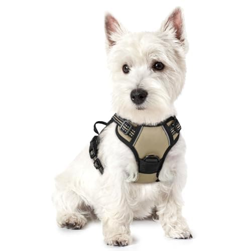 No-Pull Adjustable Dog Harness with Reflective Strips, XS Beige