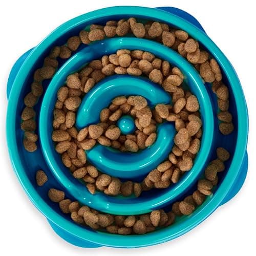 Outward Hound Fun Feeder Slow Eating Dog Bowl, Medium/Mini, Turquoise