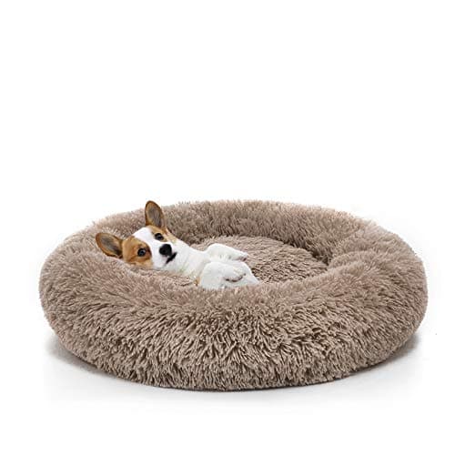 Perpets Orthopedic Donut Cuddler Dog and Cat Bed