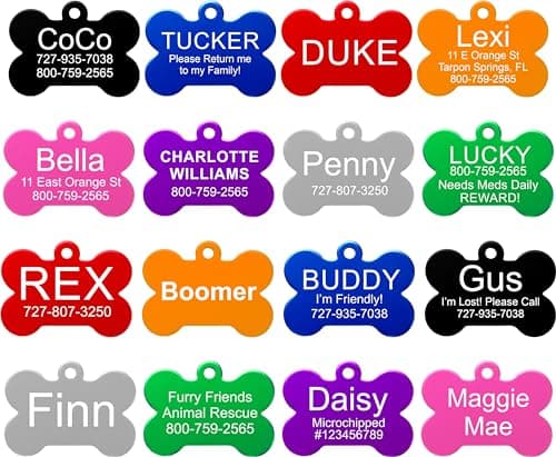 Providence Personalized Pet ID Tags in 8 Shapes and Colors