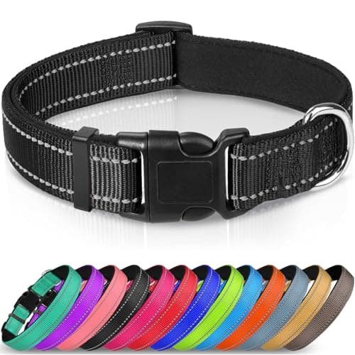 Reflective Neoprene Padded Dog Collar, Adjustable, Black, XS