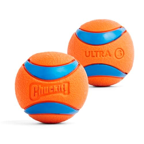 Small Durable Rubber Fetch Balls for Dogs - 2 Pack