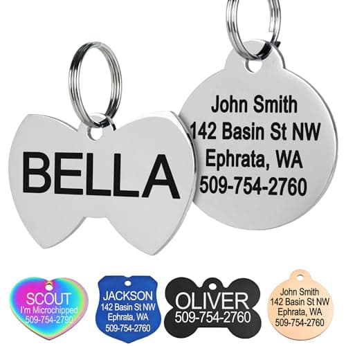 Stainless Steel Personalized Pet ID Tags (Pack of 1)